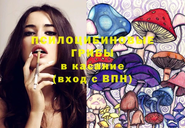Альфа ПВП Вязьма