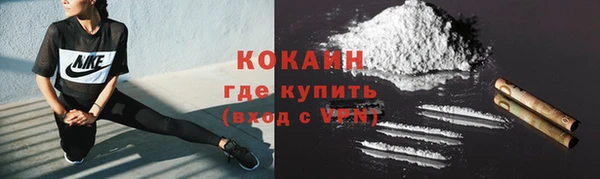 индика Горняк