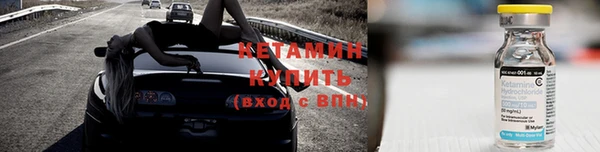индика Горняк