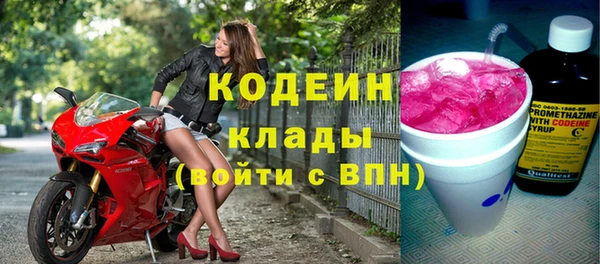 индика Горняк