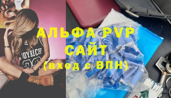 индика Горняк