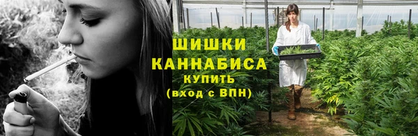 индика Горняк