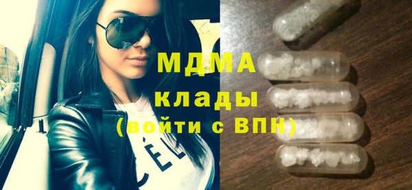 индика Горняк