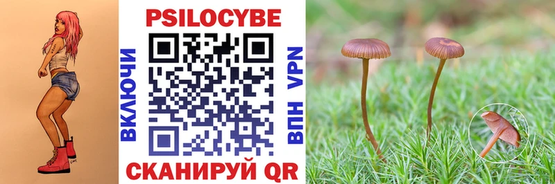 Галлюциногенные грибы Psilocybe  Купить  Костерёво 